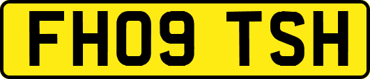 FH09TSH