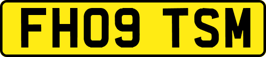FH09TSM