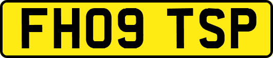 FH09TSP