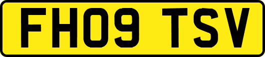 FH09TSV