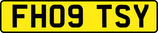 FH09TSY