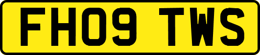 FH09TWS