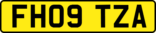 FH09TZA