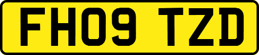 FH09TZD