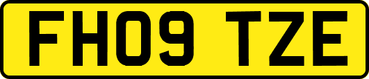 FH09TZE