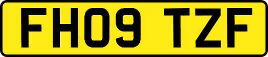 FH09TZF