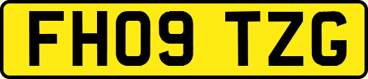 FH09TZG