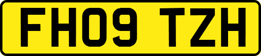 FH09TZH