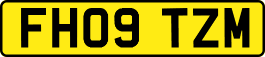 FH09TZM