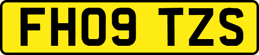 FH09TZS