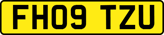 FH09TZU