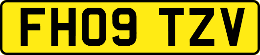 FH09TZV