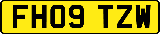 FH09TZW