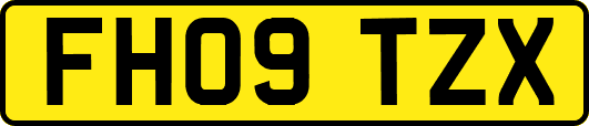FH09TZX