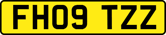 FH09TZZ