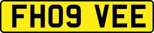 FH09VEE