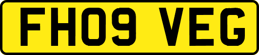 FH09VEG