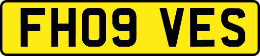 FH09VES