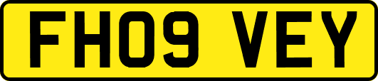 FH09VEY