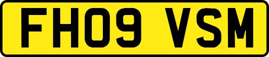 FH09VSM