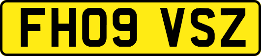 FH09VSZ