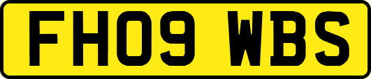 FH09WBS
