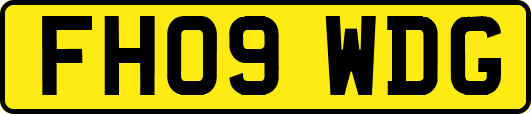 FH09WDG
