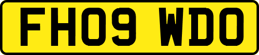 FH09WDO