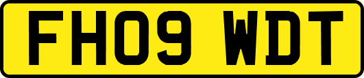 FH09WDT