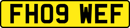 FH09WEF