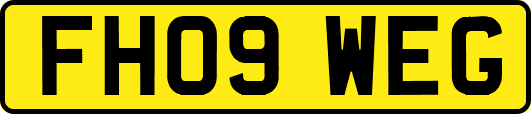 FH09WEG
