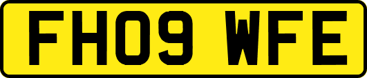 FH09WFE
