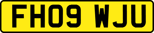 FH09WJU