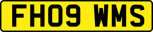 FH09WMS