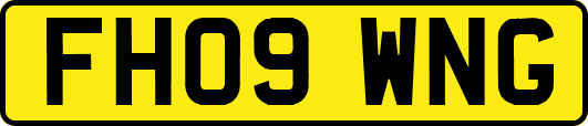 FH09WNG