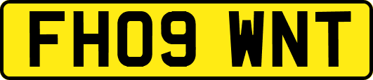 FH09WNT