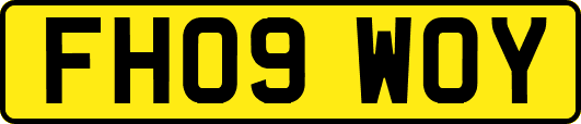 FH09WOY
