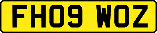 FH09WOZ