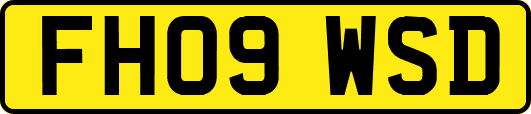 FH09WSD