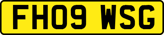 FH09WSG