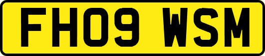FH09WSM