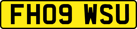 FH09WSU