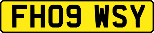 FH09WSY