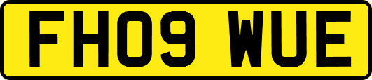 FH09WUE