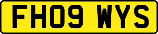 FH09WYS