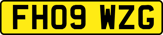 FH09WZG