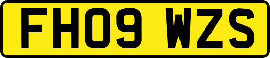 FH09WZS