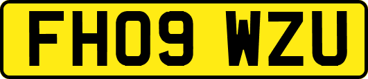 FH09WZU