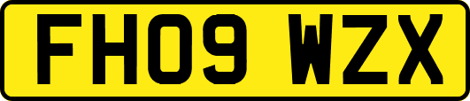 FH09WZX