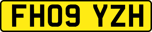 FH09YZH